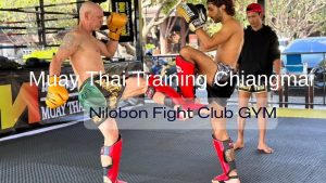 Muay Thai Training Chiangmai