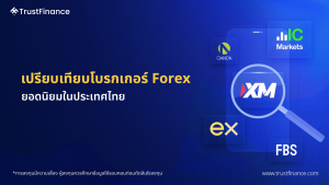 การเปรียบเทียบโบรกเกอร์ Forex ยอดนิยมในประเทศไทย