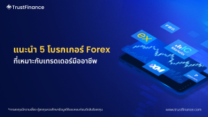 แนะนำ 5 โบรกเกอร์ Forex สำหรับเทรดเดอร์มืออาชีพ